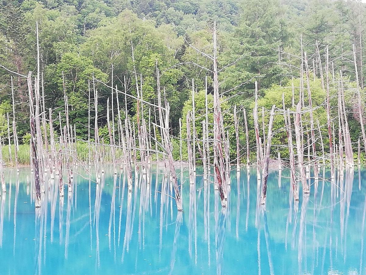 Hotel Hanafuji Inn Nakafurano Kültér fotó